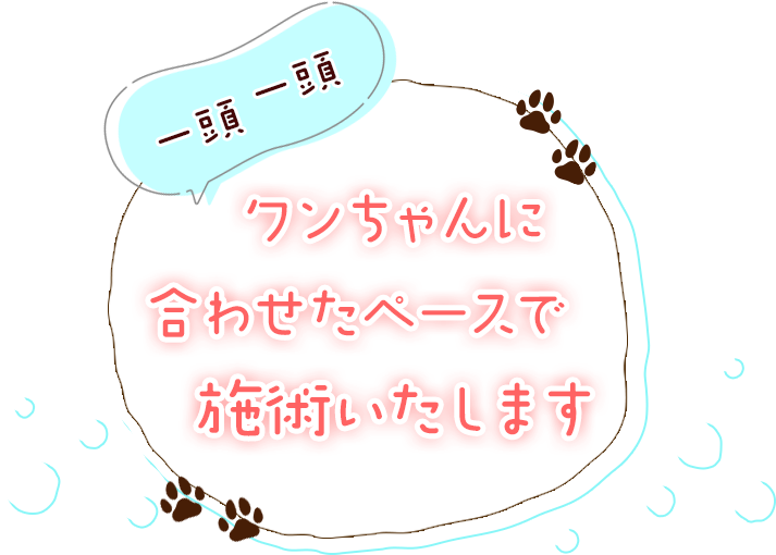 一頭一頭ワンちゃんに合わせたペースで施術いたします。